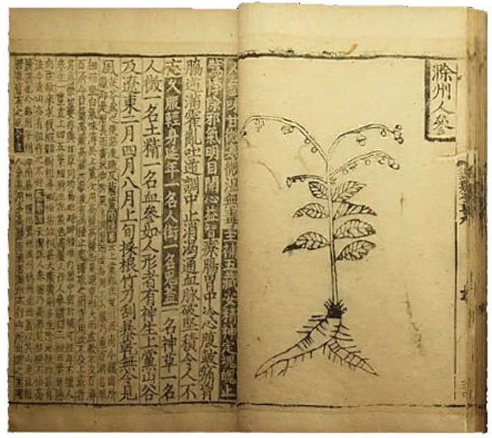 和本 周礼（しゅらい） 江戸初期（寛永九年刊） 和本 周礼（しゅらい