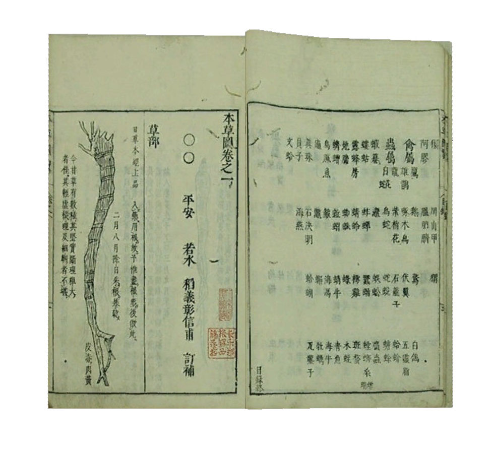 本草图-2.jpg